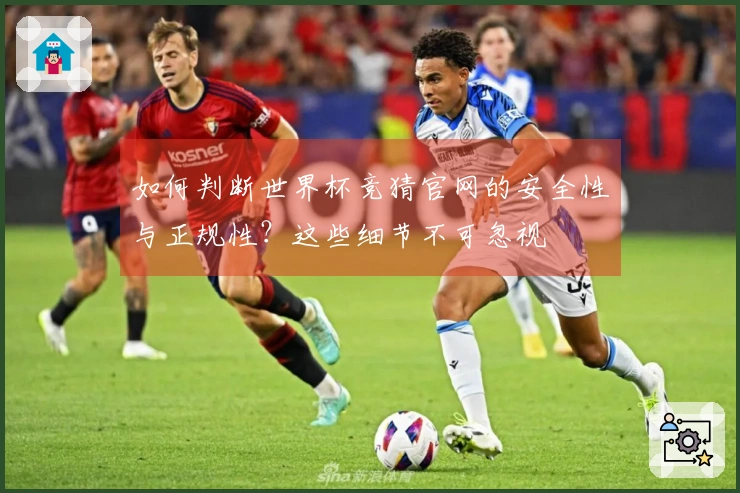 如何判断世界杯竞猜官网的安全性与正规性?这些细节不可忽视